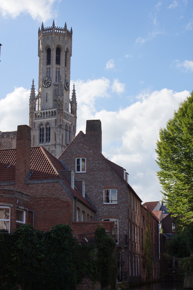 DSC04843.jpg