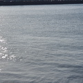 2019-09-14 09.51.14