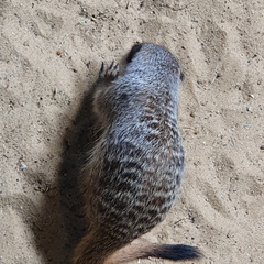 2019-06-09 12.59.06