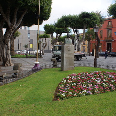DSC05654