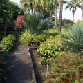 DSC05786