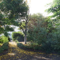 DSC05787