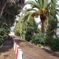 DSC05798