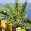 DSC05803