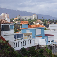 DSC05855