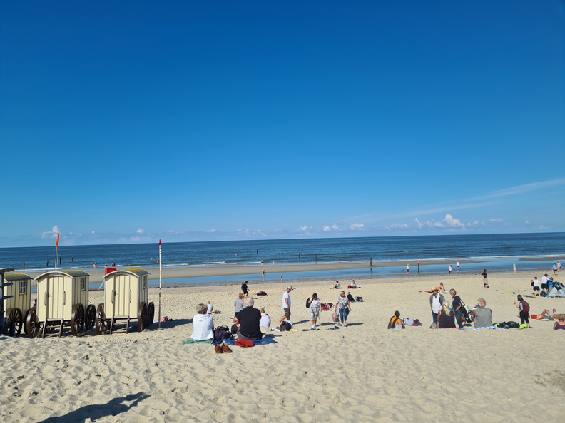 20200902_152841.jpg
