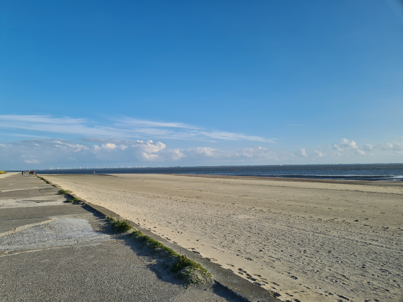 20200907_181113.jpg