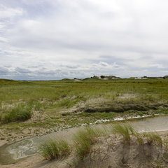 DSC00426