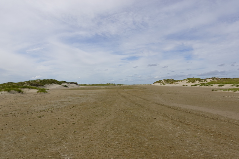 DSC00428.JPG