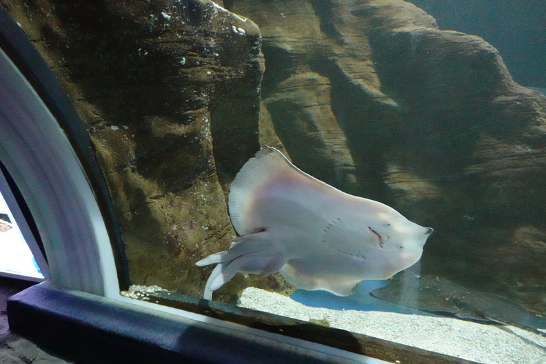 DSC00698.jpg