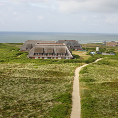 DSC00774
