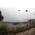 DSC00131 1