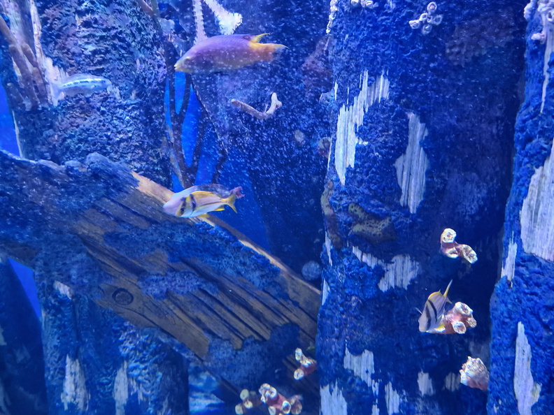 20230811_121027.jpg