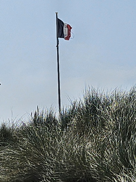 20240831_131730.jpg