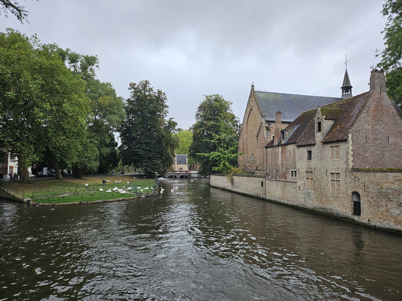 20240903_173349.jpg
