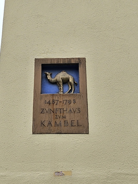 20241130_131031.jpg