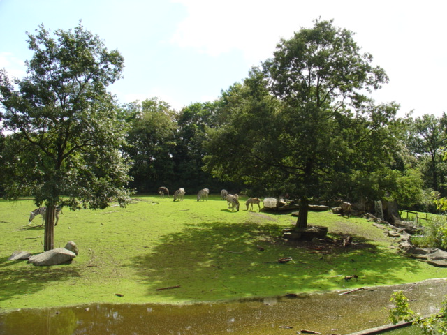 DSC00318.JPG