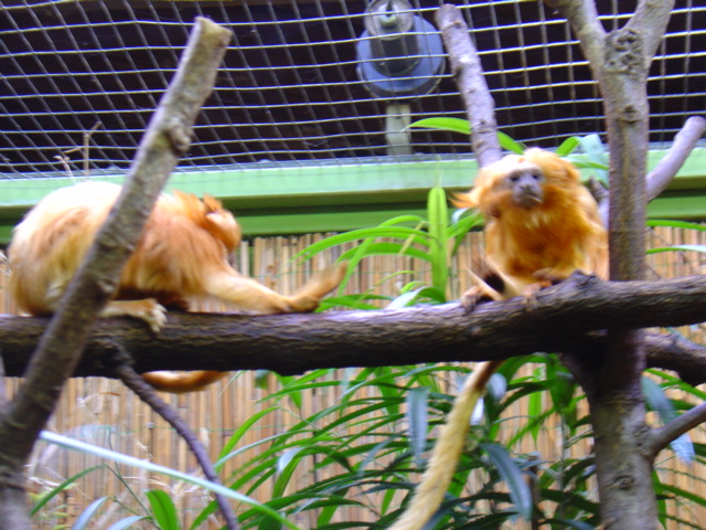DSC00362.JPG