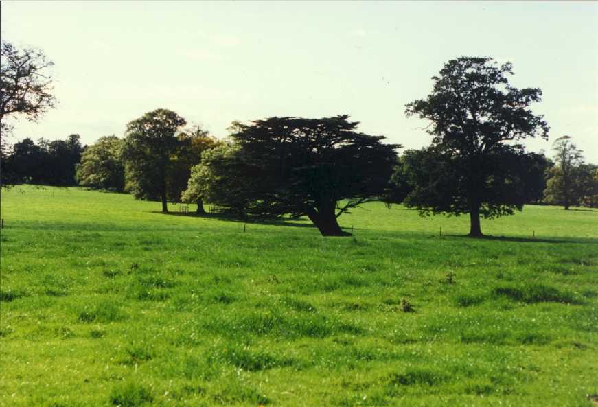 york19