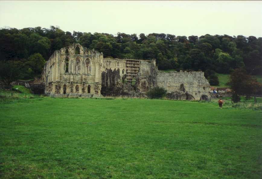 york20