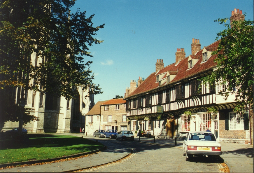 york33