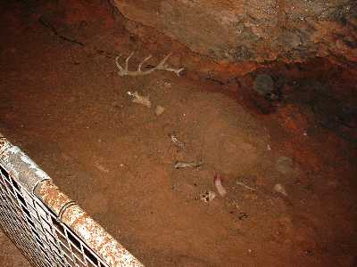 cavern5.jpg