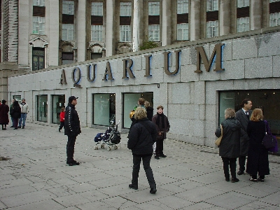 Aquarium