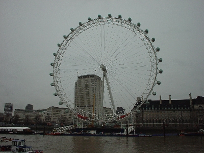 wheel.jpg